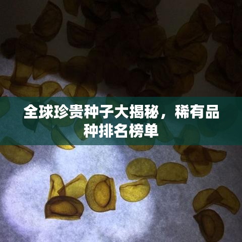 全球珍贵种子大揭秘，稀有品种排名榜单