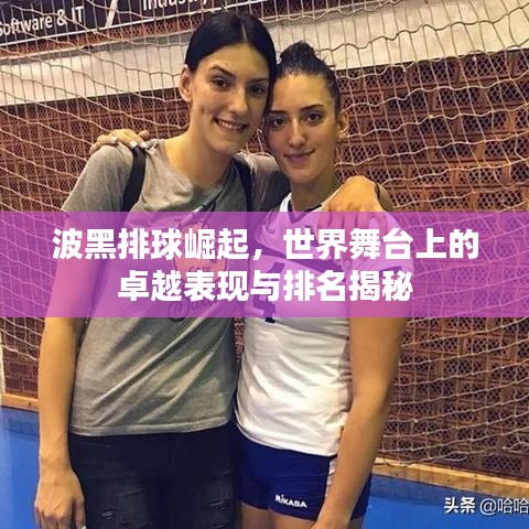 波黑排球崛起,世界舞台上的卓越表现与排名揭秘