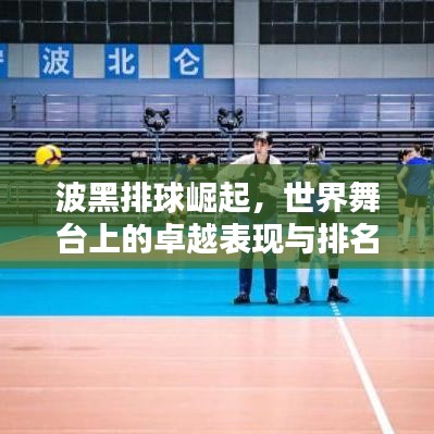 波黑排球崛起,世界舞台上的卓越表现与排名揭秘