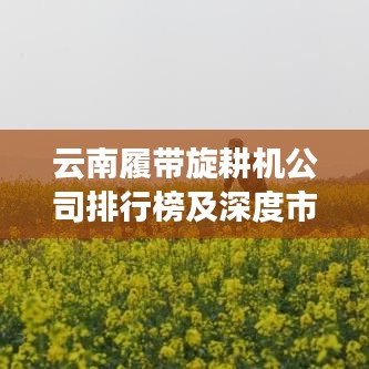 云南履带旋耕机公司排行榜及深度市场分析