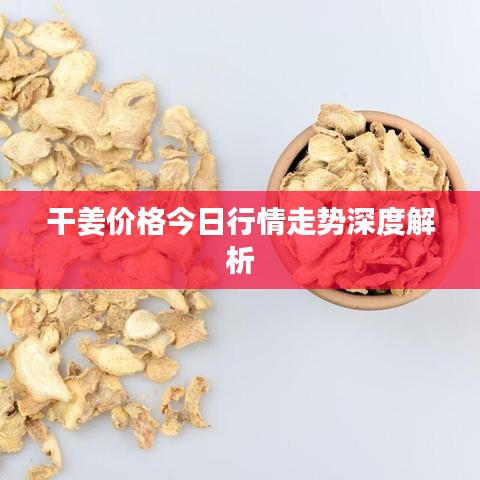 干姜价格今日行情走势深度解析