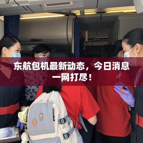 东航包机最新动态,今日消息一网打尽!