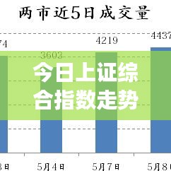 花枝招展 第5页