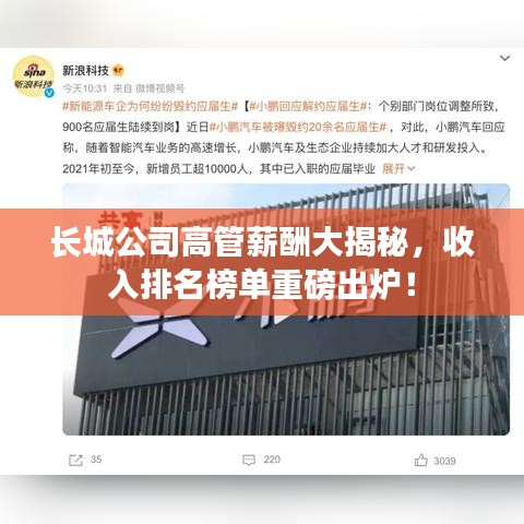 长城公司高管薪酬大揭秘,收入排名榜单重磅出炉!