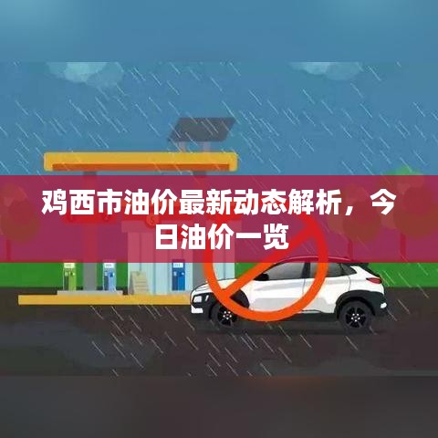 鸡西市油价最新动态解析,今日油价一览