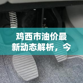 鸡西市油价最新动态解析,今日油价一览