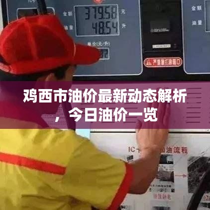 鸡西市油价最新动态解析,今日油价一览