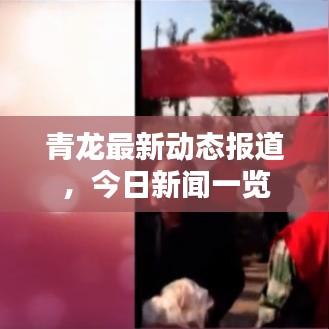 青龙最新动态报道,今日新闻一览