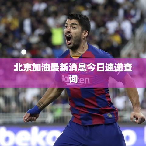 北京加油最新消息今日速递查询