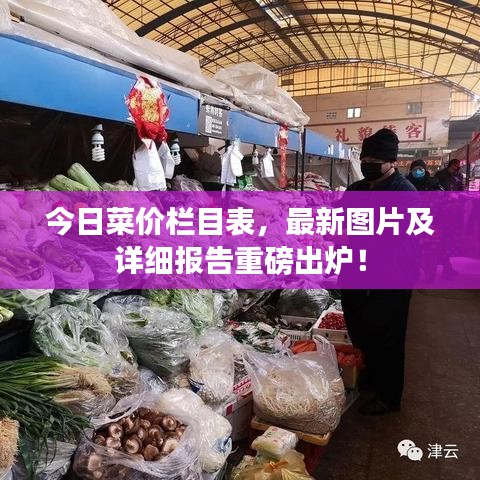 今日菜价栏目表，最新图片及详细报告重磅出炉！