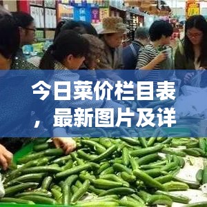 今日菜价栏目表,最新图片及详细报告重磅出炉!