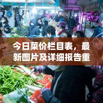 今日菜价栏目表,最新图片及详细报告重磅出炉!