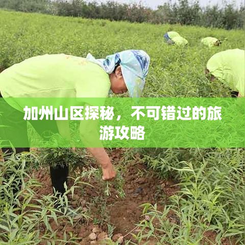 加州山区探秘,不可错过的旅游攻略