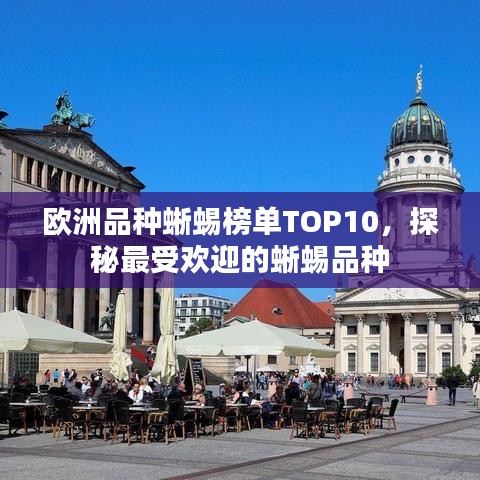 欧洲品种蜥蜴榜单TOP10,探秘最受欢迎的蜥蜴品种
