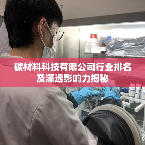 碳材料科技有限公司行业排名及深远影响力揭秘