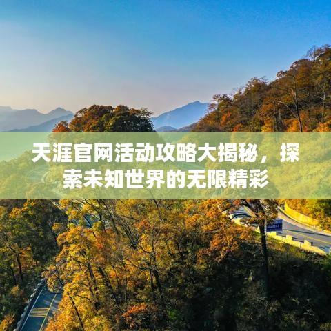 天涯官网活动攻略大揭秘,探索未知世界的无限精彩
