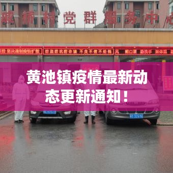 黄池镇疫情最新动态更新通知！