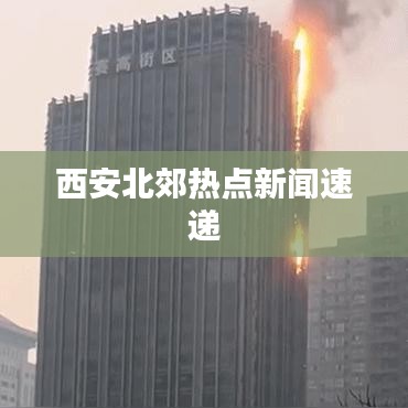 富贵逼人来 第5页