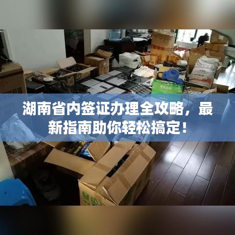 湖南省内签证办理全攻略,最新指南助你轻松搞定!