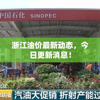 浙江油价最新动态,今日更新消息!