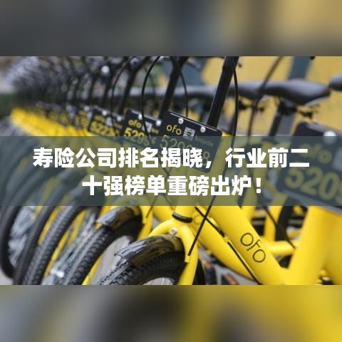 寿险公司排名揭晓,行业前二十强榜单重磅出炉!