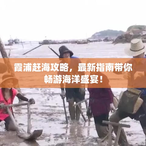 霞浦赶海攻略,最新指南带你畅游海洋盛宴!
