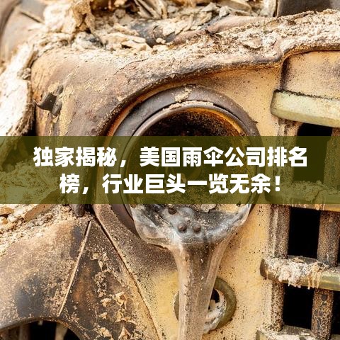 独家揭秘,美国雨伞公司排名榜,行业巨头一览无余!