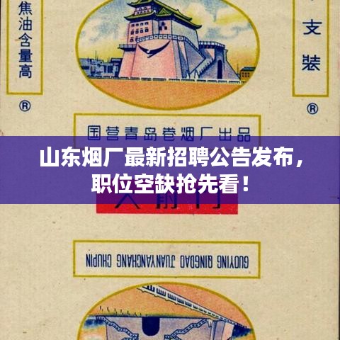 山东烟厂最新招聘公告发布,职位空缺抢先看!