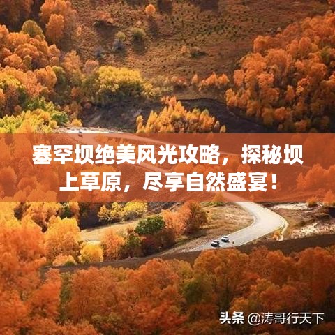 塞罕坝绝美风光攻略,探秘坝上草原,尽享自然盛宴!