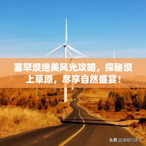 塞罕坝绝美风光攻略,探秘坝上草原,尽享自然盛宴!