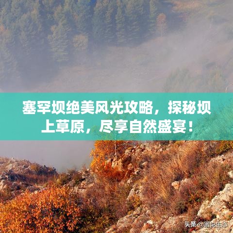 塞罕坝绝美风光攻略,探秘坝上草原,尽享自然盛宴!