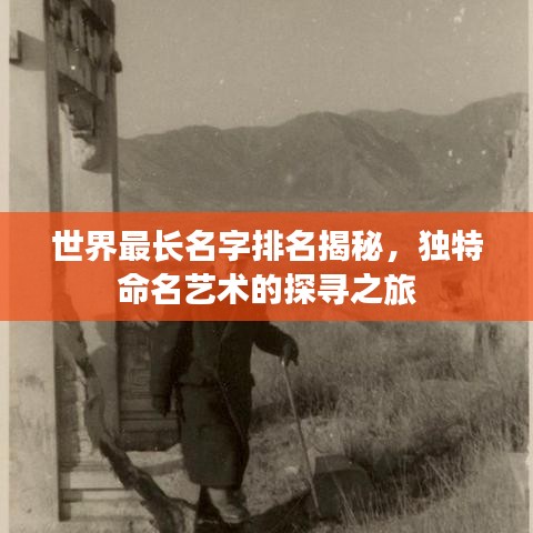 世界最长名字排名揭秘,独特命名艺术的探寻之旅