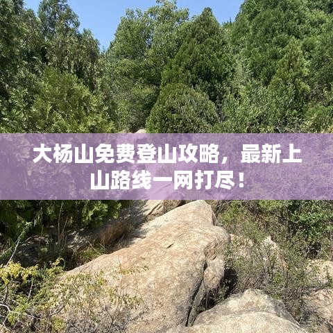大杨山免费登山攻略,最新上山路线一网打尽!