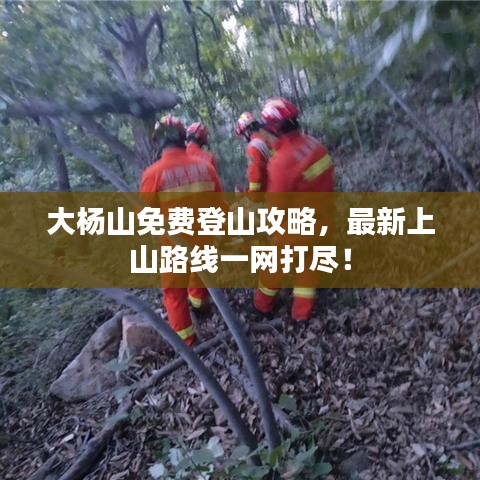 大杨山免费登山攻略,最新上山路线一网打尽!