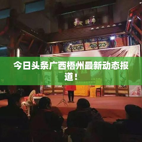 今日头条广西梧州最新动态报道！