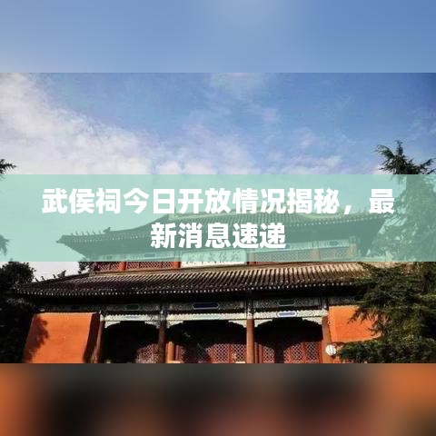 小鸟依人 第4页