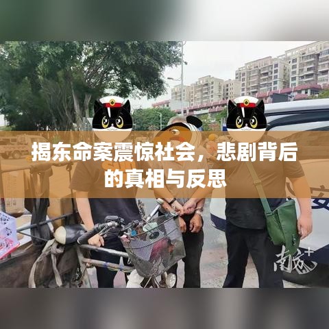揭东命案震惊社会,悲剧背后的真相与反思