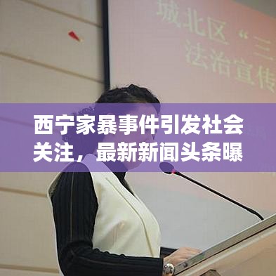西宁家暴事件引发社会关注,最新新闻头条曝光