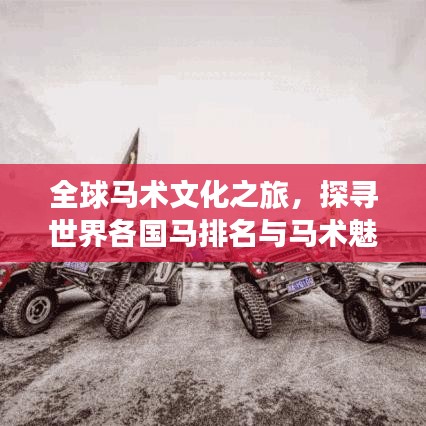 全球马术文化之旅,探寻世界各国马排名与马术魅力