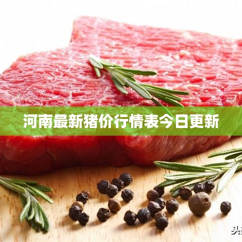 衣无二彩 第4页