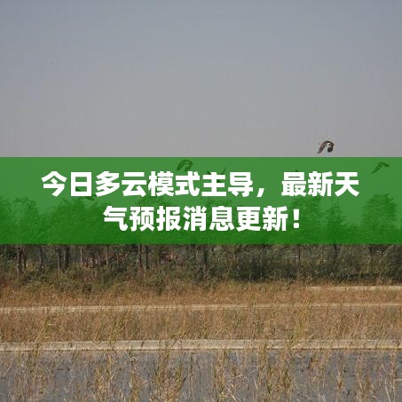 今日多云模式主导，最新天气预报消息更新！