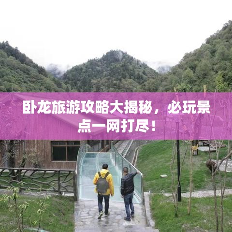 卧龙旅游攻略大揭秘,必玩景点一网打尽!