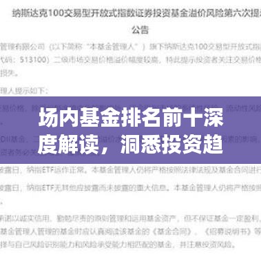 场内基金排名前十深度解读,洞悉投资趋势的图片指南