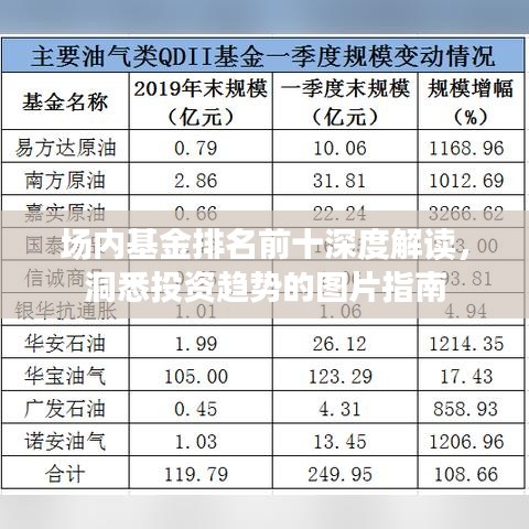 场内基金排名前十深度解读,洞悉投资趋势的图片指南