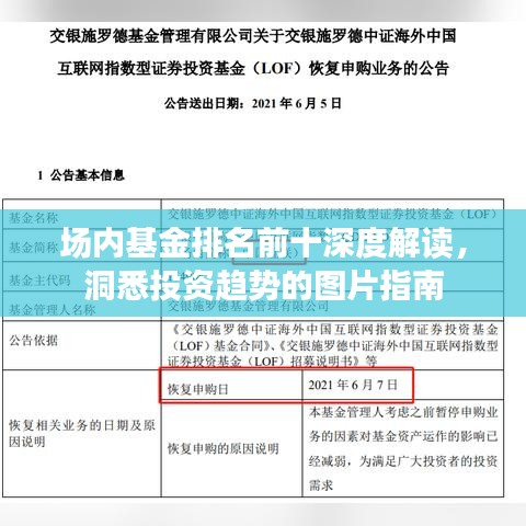 场内基金排名前十深度解读,洞悉投资趋势的图片指南