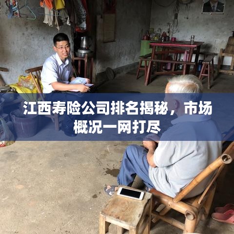 江西寿险公司排名揭秘,市场概况一网打尽