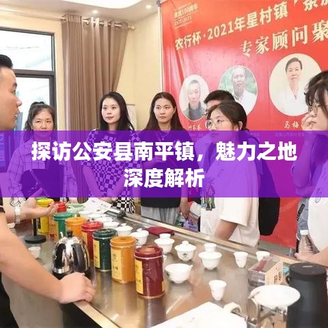 探访公安县南平镇,魅力之地深度解析