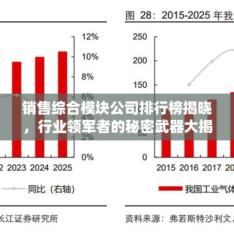 销售综合模块公司排行榜揭晓,行业领军者的秘密武器大揭秘!