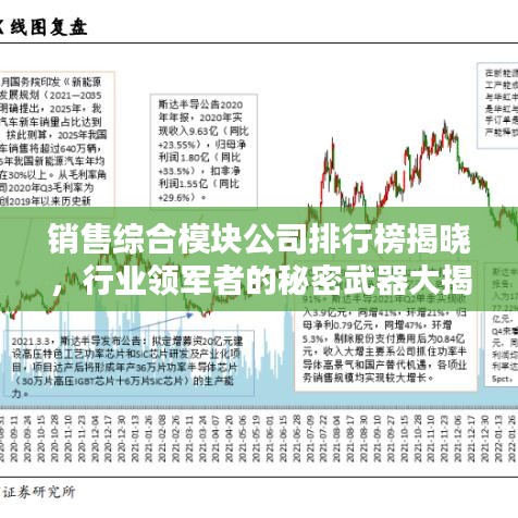 销售综合模块公司排行榜揭晓,行业领军者的秘密武器大揭秘!