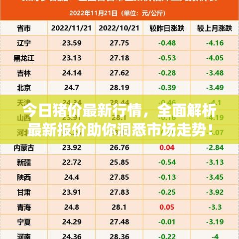 今日猪价最新行情,全面解析最新报价助你洞悉市场走势!